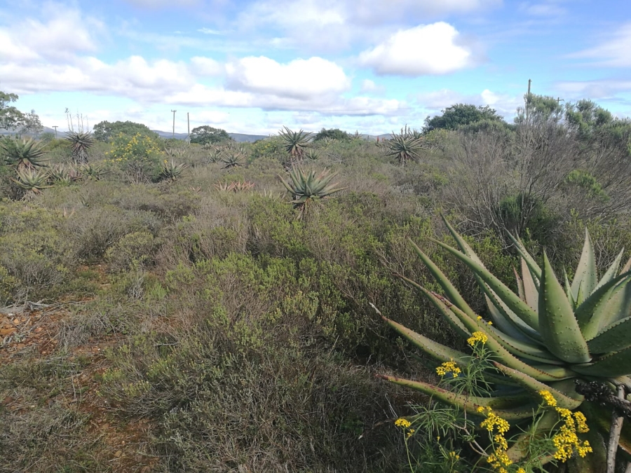 3 Bedroom Property for Sale in Uitenhage Rural Eastern Cape